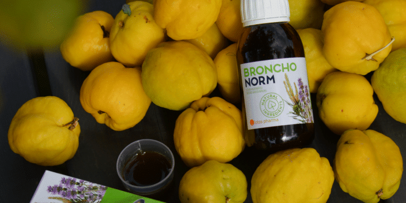 Küdoonia viljad ja Bronchonorm palsami pudel